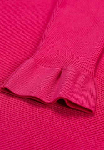 Fabienne Chapot Trui in Roze