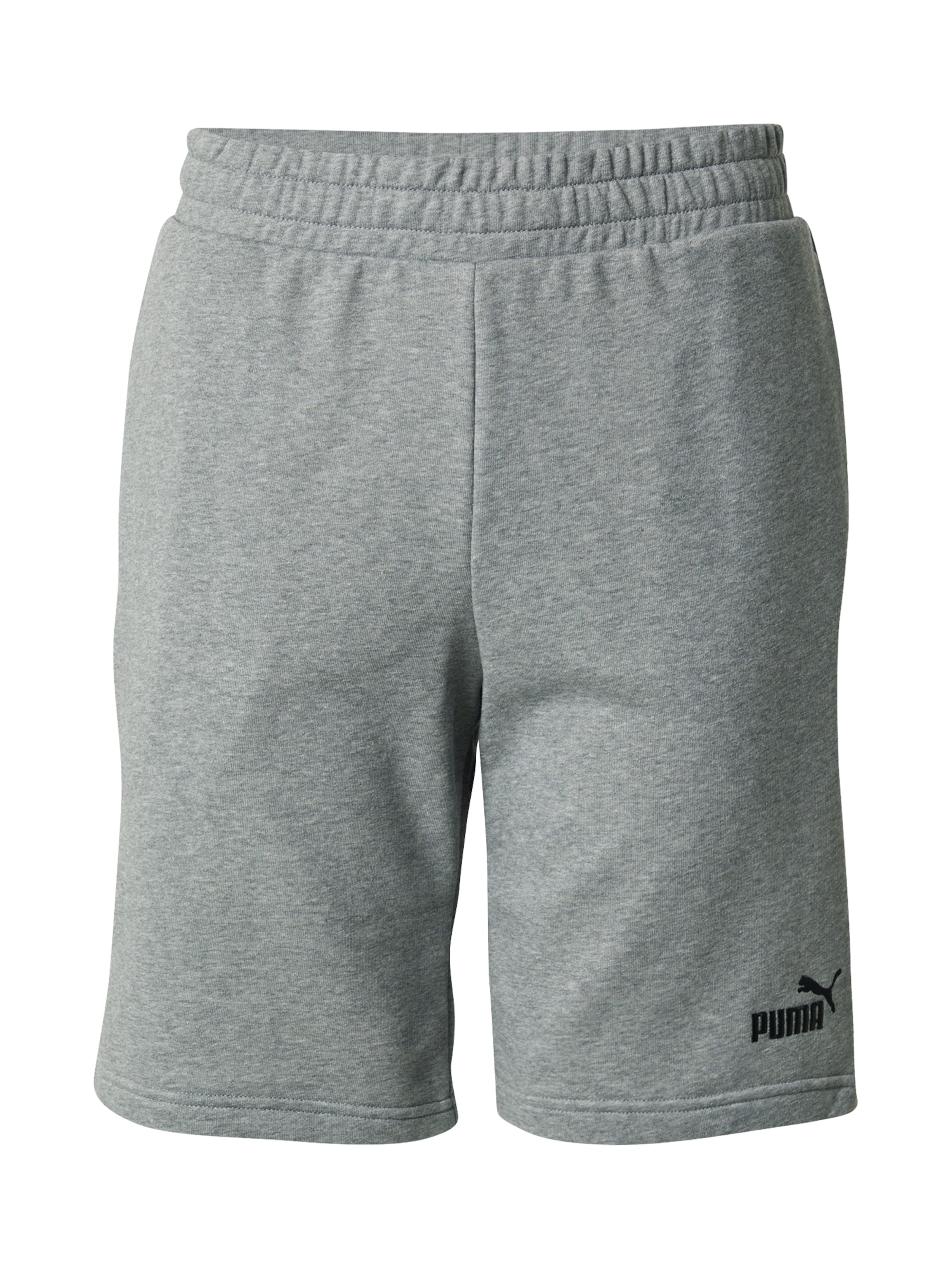PUMA Sports trousers 'ESS No. 1' in Grey: front