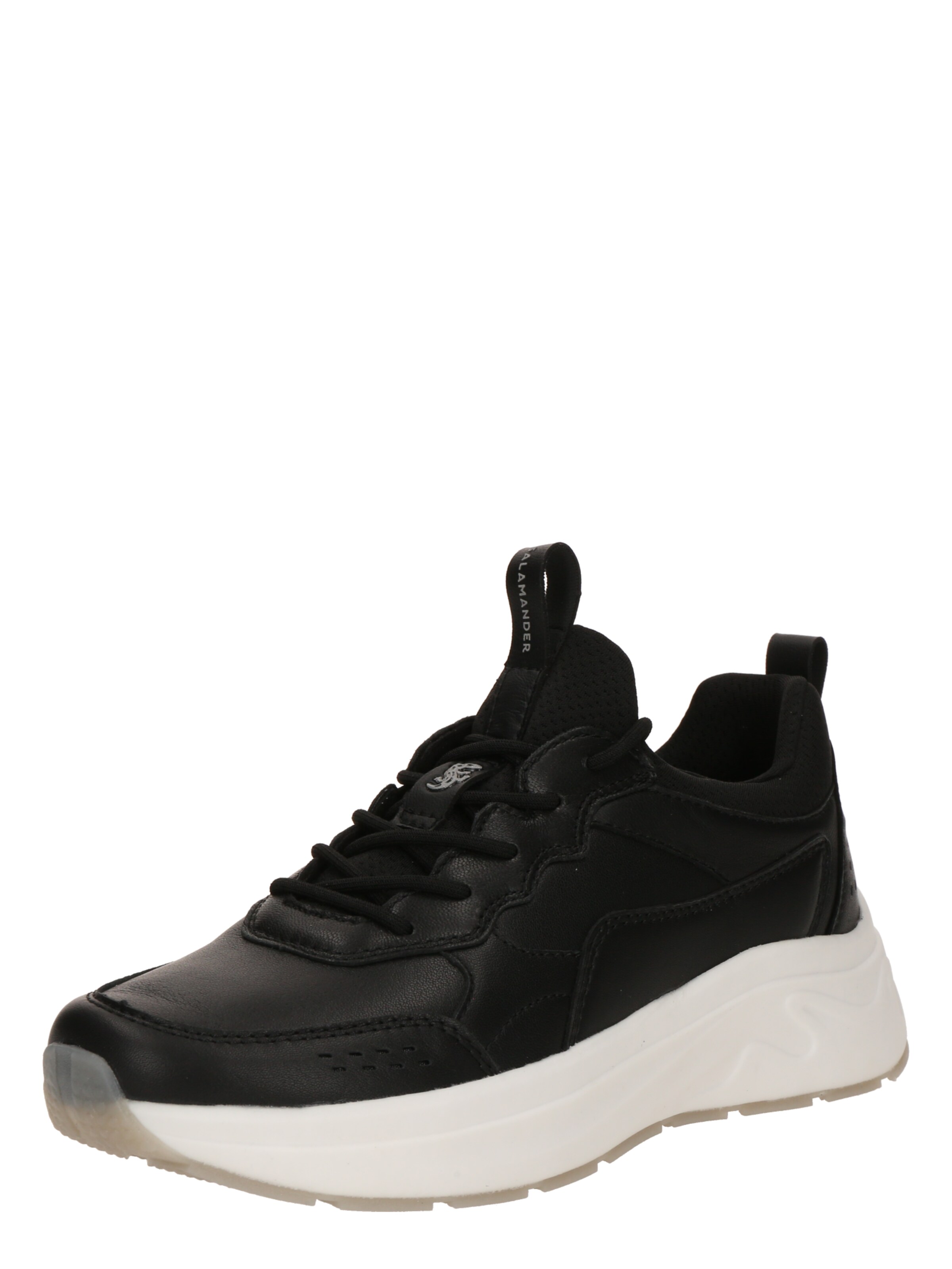 Sneaker bassa di SALAMANDER in nero: frontale
