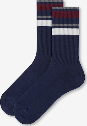 CALZEDONIA Socks in Blue: front