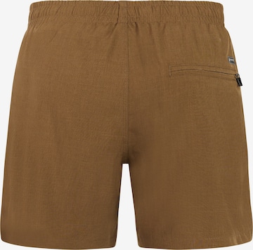 PROTEST Badeshorts 'DAVEY' in Braun: Vorderseite