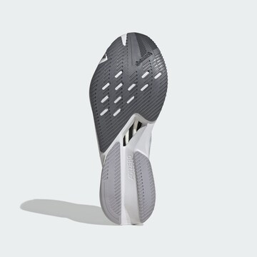 ADIDAS PERFORMANCE - Zapatillas de running 'Adizero Boston 12' en gris