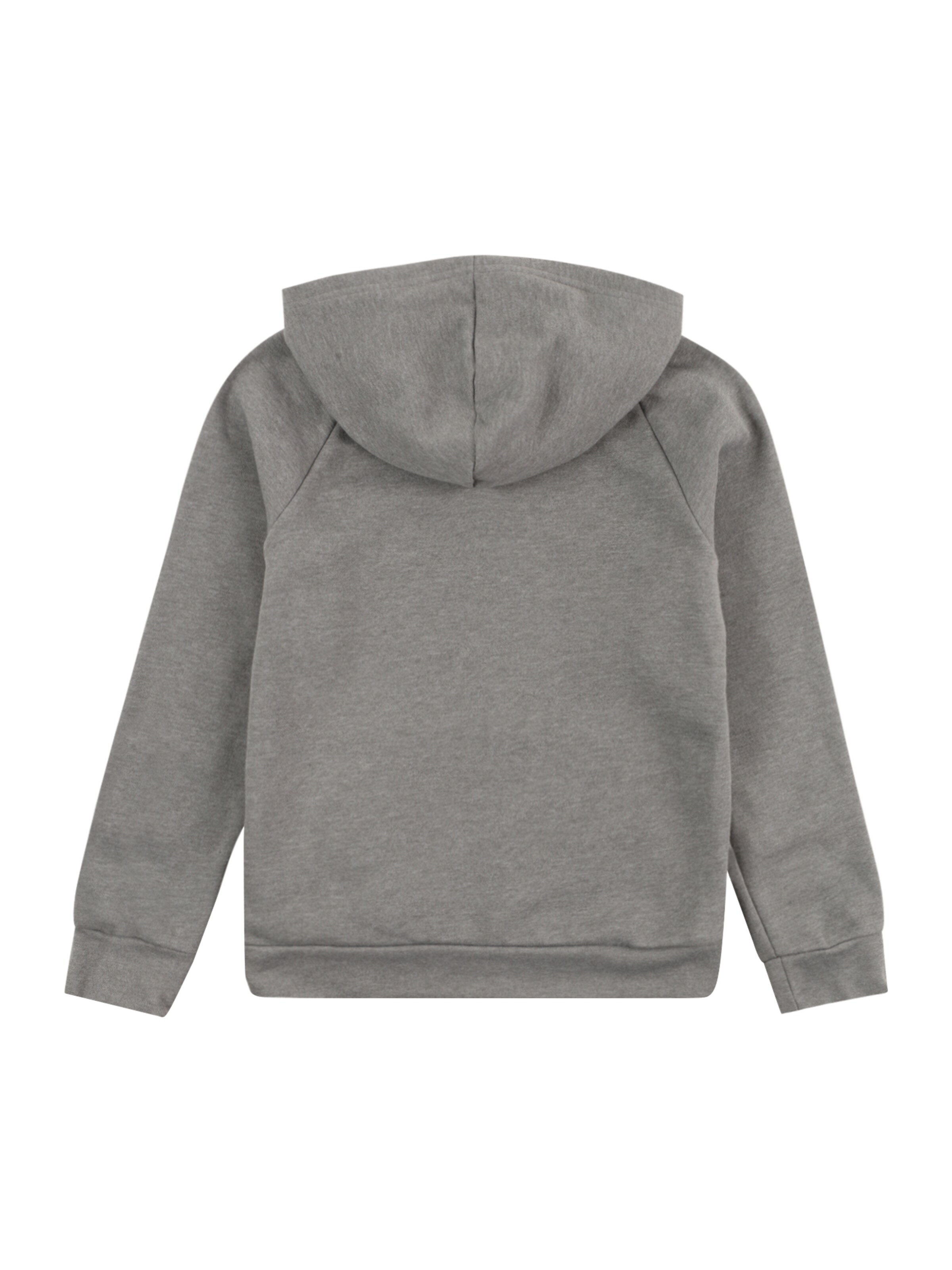 Sweat de sport 'Rival' UNDER ARMOUR en gris