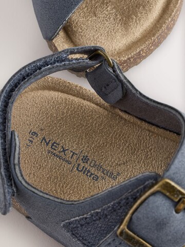 Next Open schoenen in Blauw