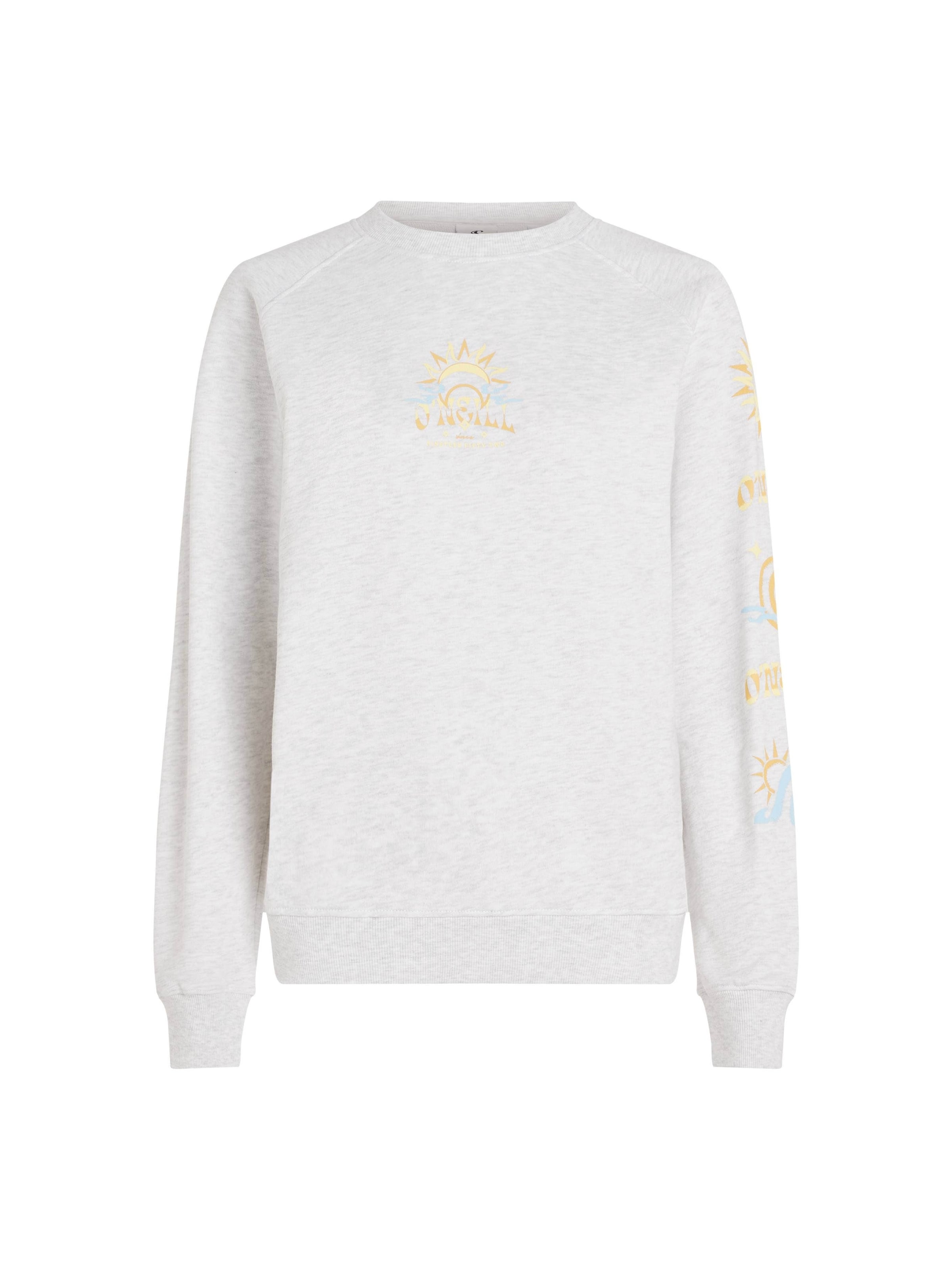 O'NEILL Sweatshirt in Grey: front