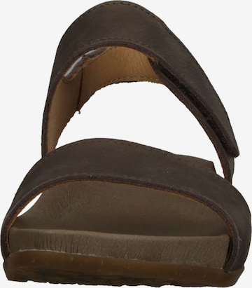 EL NATURALISTA Sandals in Brown