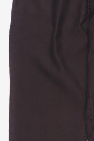 Calvin Klein Jeans Pants in 31 in Brown