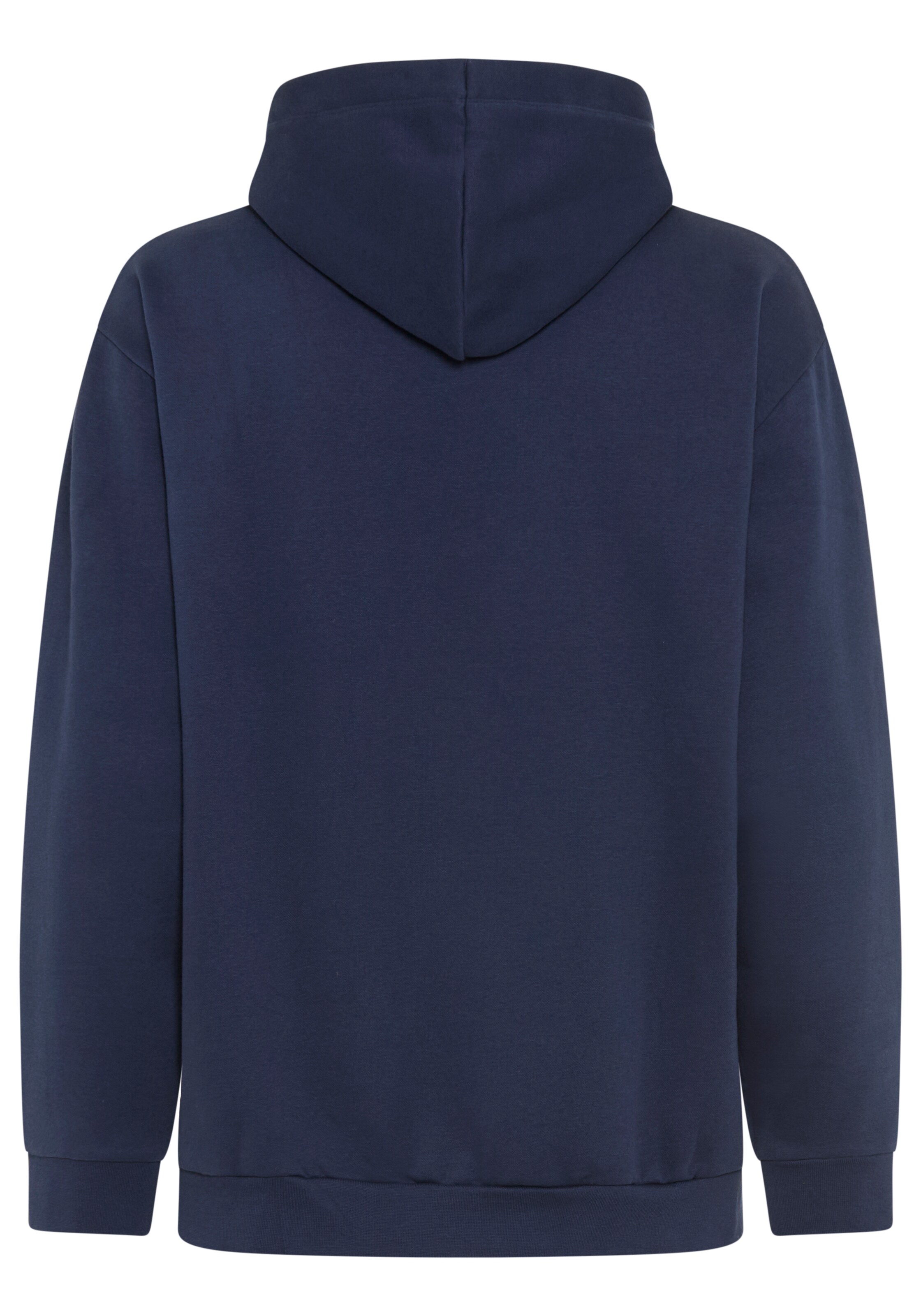 DELMAO Sweatshirt in Blue