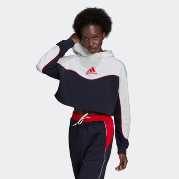 ADIDAS SPORTSWEAR Sportief sweatshirt in Blauw: voorkant