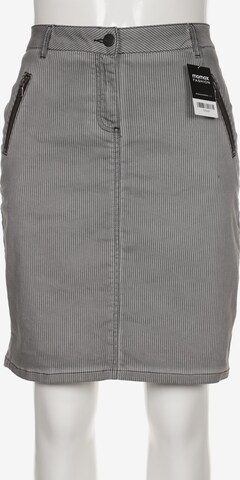 Kenny S. Skirt in XL in Grey: front