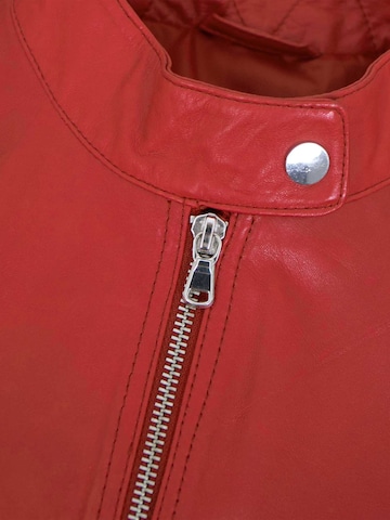 MADDOX Between-Season Jacket 'Jecki' in Red