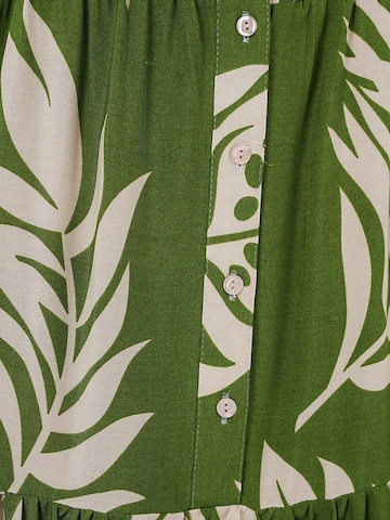 Bigdart Dress in Green