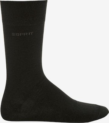 ESPRIT Sokken in Zwart