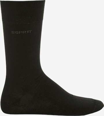 ESPRIT Socken in Schwarz