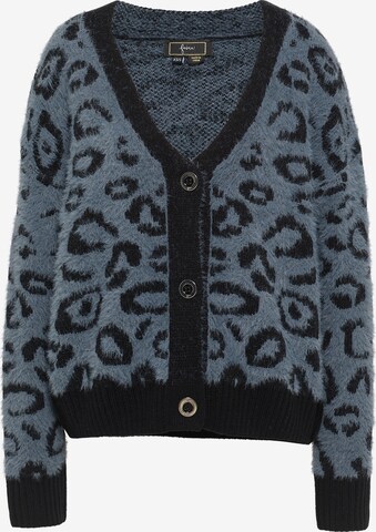 Cardigan faina en bleu : devant