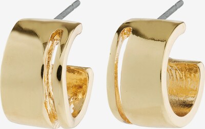 Pilgrim Boucles d'oreilles 'TOVA' en or, Vue avec produit