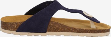 Palado - Sandalias de dedo 'Palado Kos Suede Premium Leather' en azul