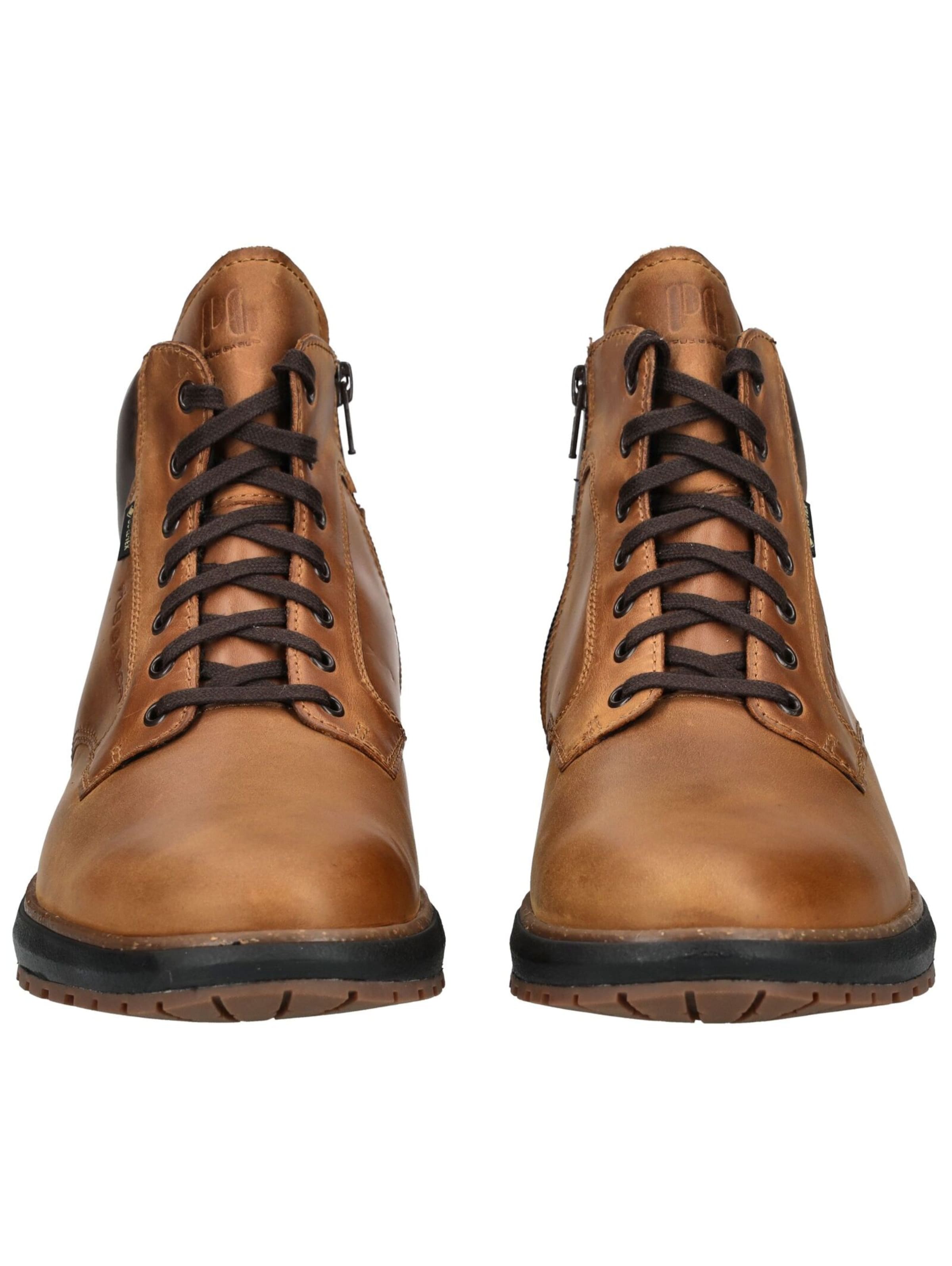 Pius Gabor Boots in Braun