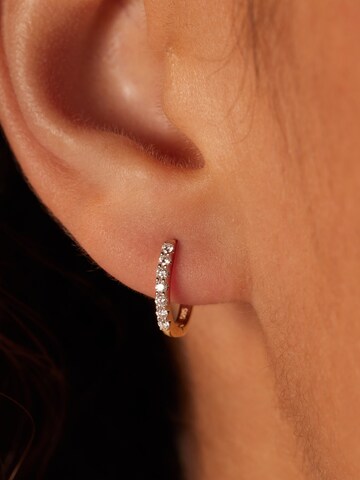 Lucardi Oorbellen in Goud