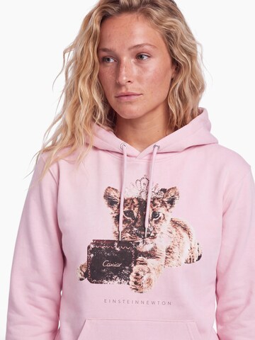 EINSTEIN & NEWTON Sweatshirt in Pink