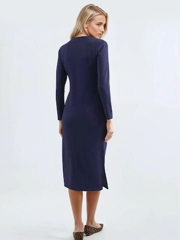 Hiccup Jurk in Blauw