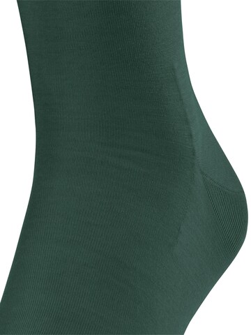 FALKE Knee High Socks 'ClimaWool' in Green