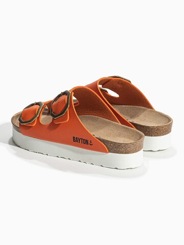 Bayton Mule 'JAPET' in Orange