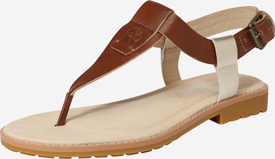 TIMBERLAND Japanke u smeđa / srebro, Pregled proizvoda