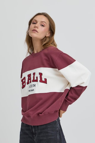 Ball Sweatshirt 'Montana' i brun: forside