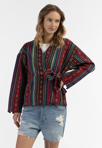 Cardigan IZIA en mélange de couleurs : devant