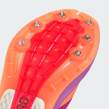 ADIDAS PERFORMANCE Running shoe ' Adizero Avanti XC ' in Purple