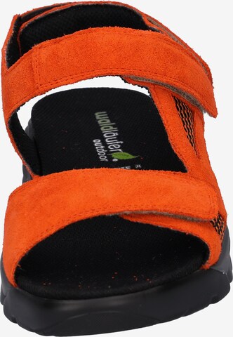WALDLÄUFER Hiking Sandals in Orange