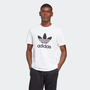 Tricou 'Adicolor Classics Trefoil' de la ADIDAS ORIGINALS pe alb: față