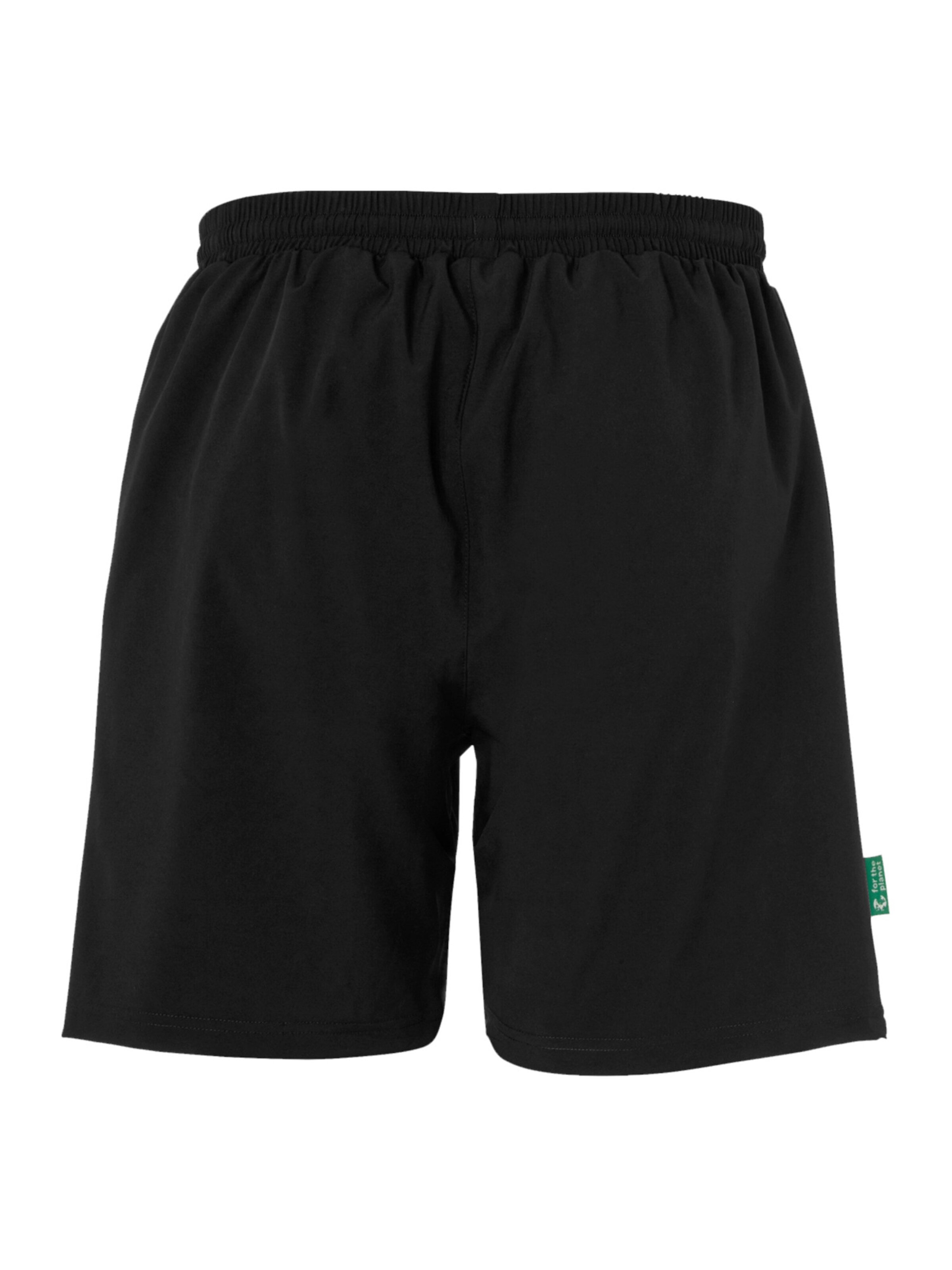 UHLSPORT Regular Workout Pants 'Essential Evo' in Black