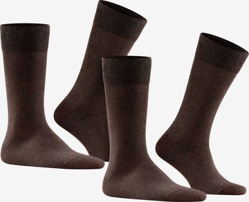 FALKE Socks in Brown