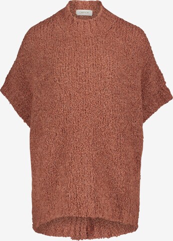 Cartoon Sweater in Brown: front