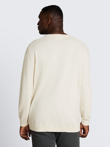 TOM TAILOR Men + Pullover in Weiß