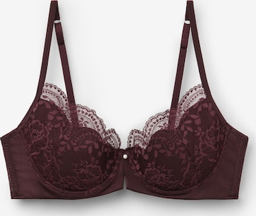 INTIMISSIMI Triangel BH in Braun: Vorderseite