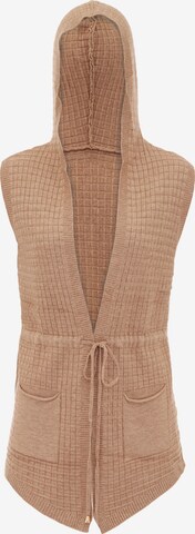 COBIE Knit Cardigan in Brown: front