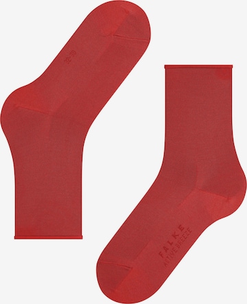 FALKE Socks 'Active Breeze' in Red: front