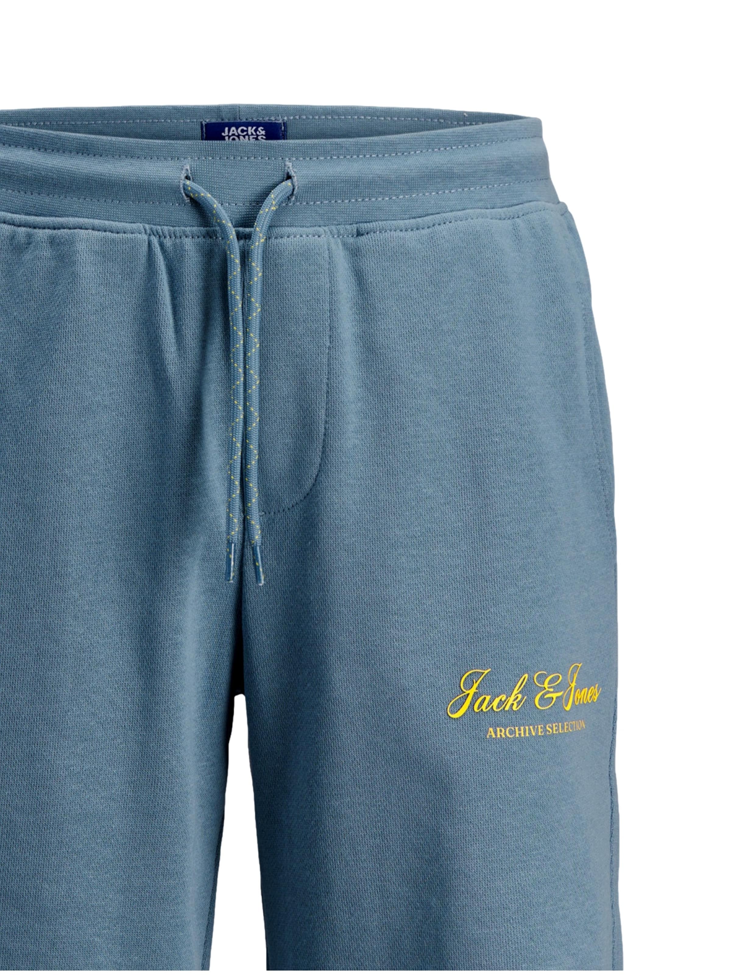 regular Pantaloni 'Gordon Archive' di Jack & Jones Junior in blu