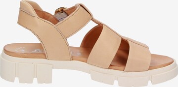 SIOUX Strap Sandals ' Ronila-701 ' in Beige