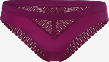 TRIUMPH Panty in Purple: front