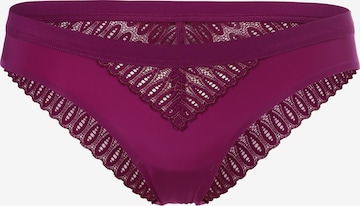 TRIUMPH Panty in Purple: front