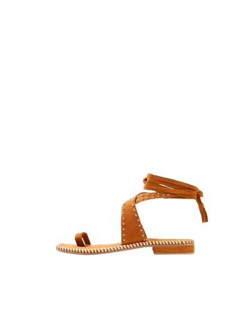 Scalpers Sandal 'Roma Studs' i brun: framsida