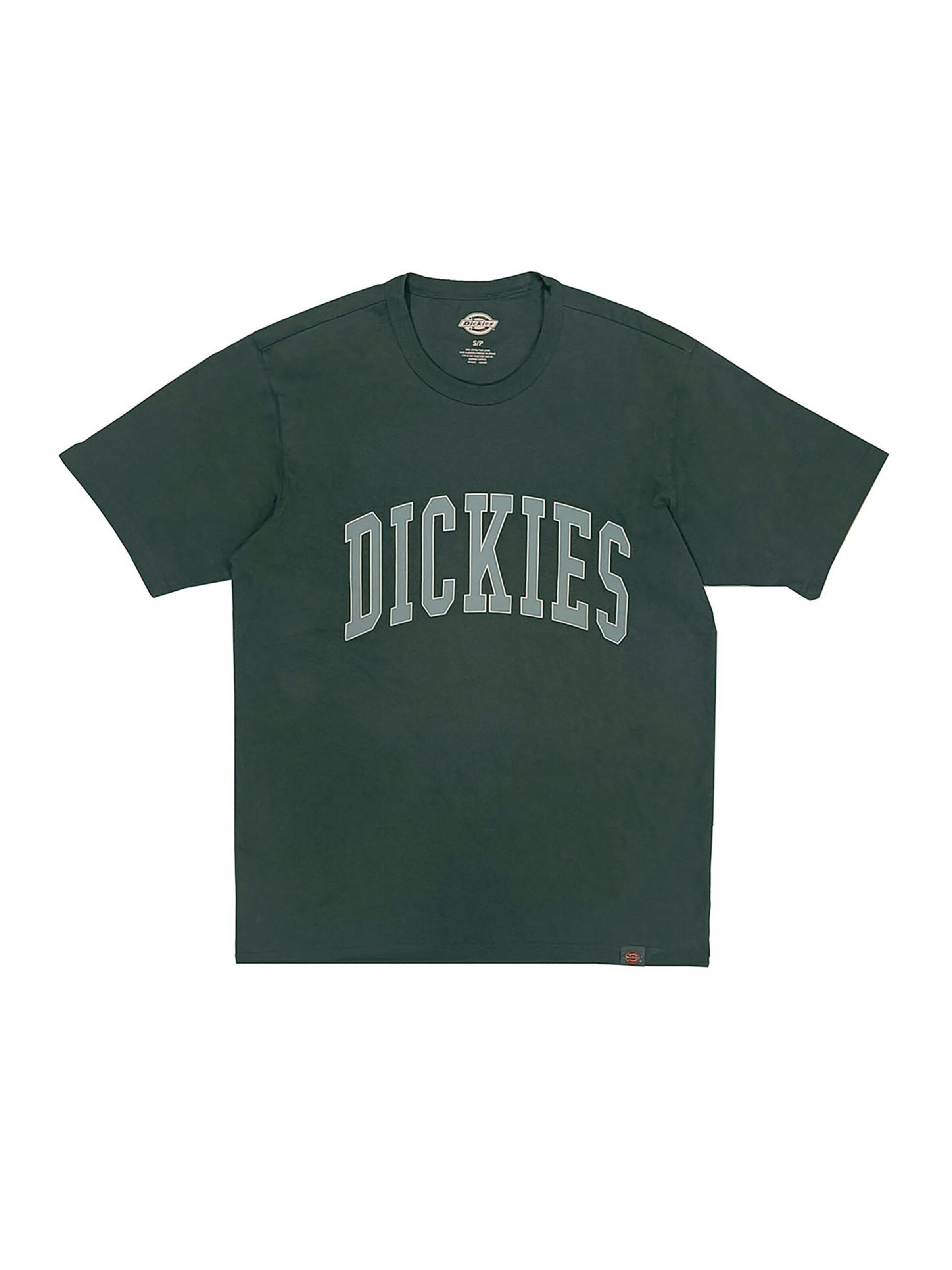 DICKIES Shirt 'Aitkin' in Green: front