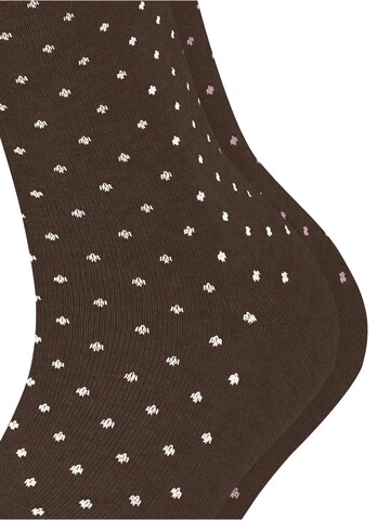ESPRIT Socks 'Fine Dot 2-Pack' in Brown