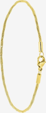 Lucardi Voetsieraden in Goud: voorkant