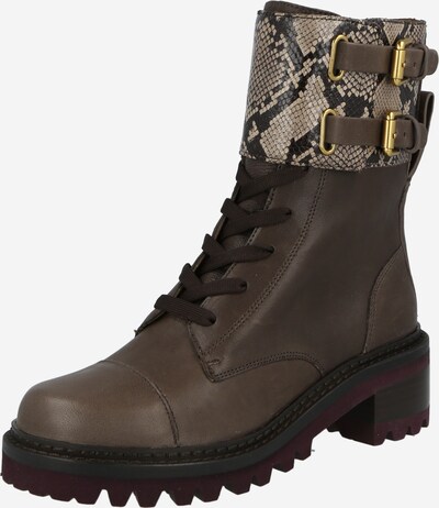 See by Chloé Botines con cordones 'Mallory' en beige / marrón / negro, Vista del producto