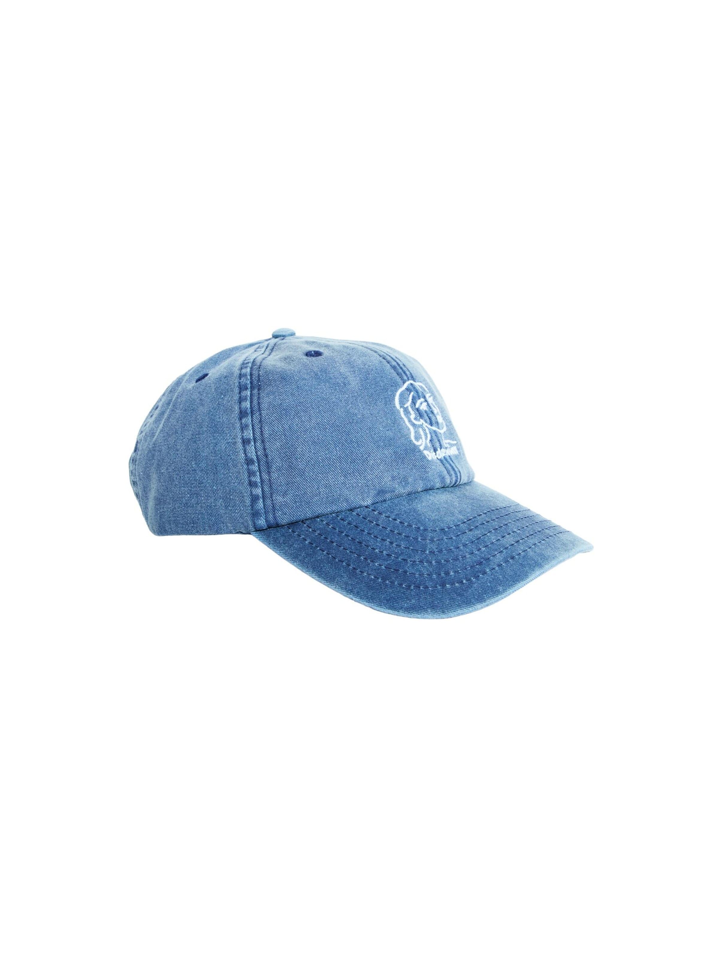 Dr. Denim Cap 'Noa' in Blue